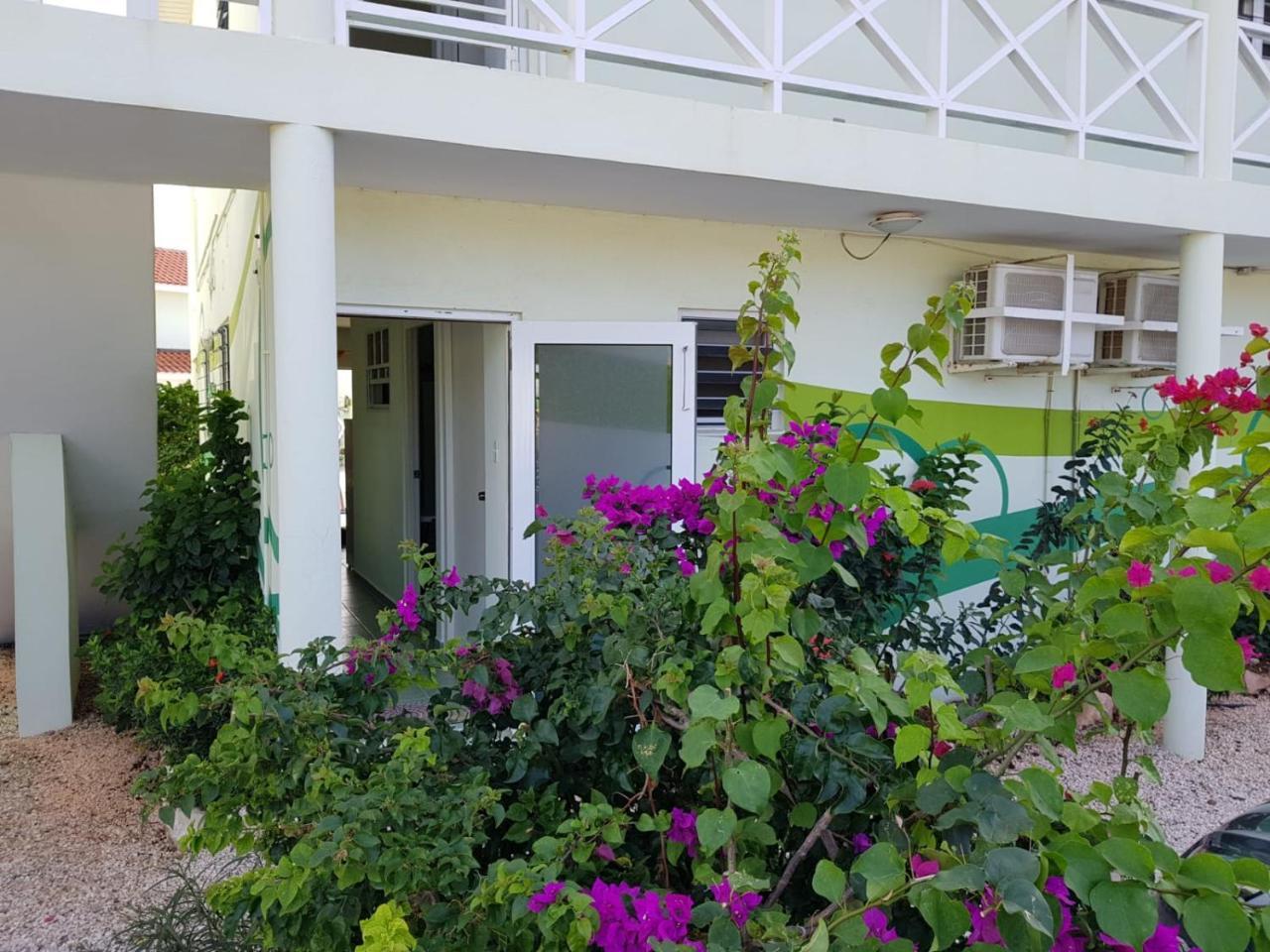 Alifra Apartment Lagun エクステリア 写真